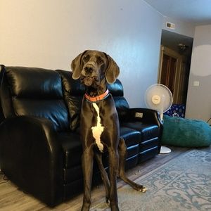 Meet your Posher, Nikki